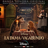 Es Un Vagabundo