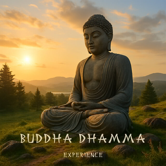 Experience