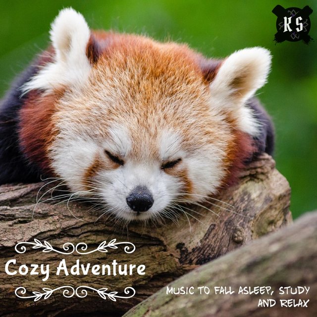 Cozy Adventure