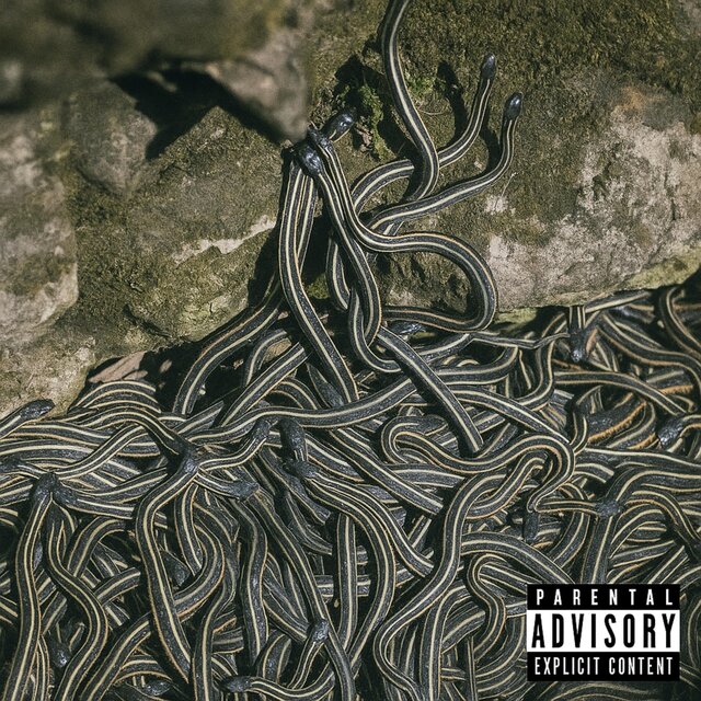 Bed of Snakes