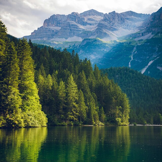 Nature Frequencies – Earth Tones for Healing