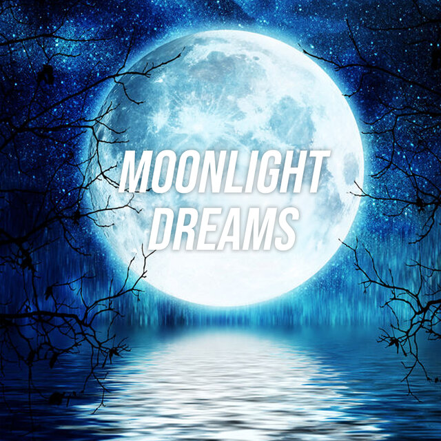 Moonlight Dreams