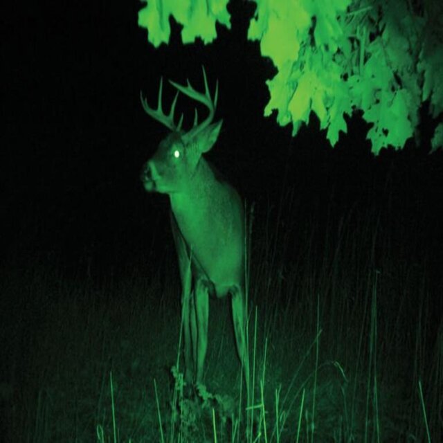 NIGHT VISION