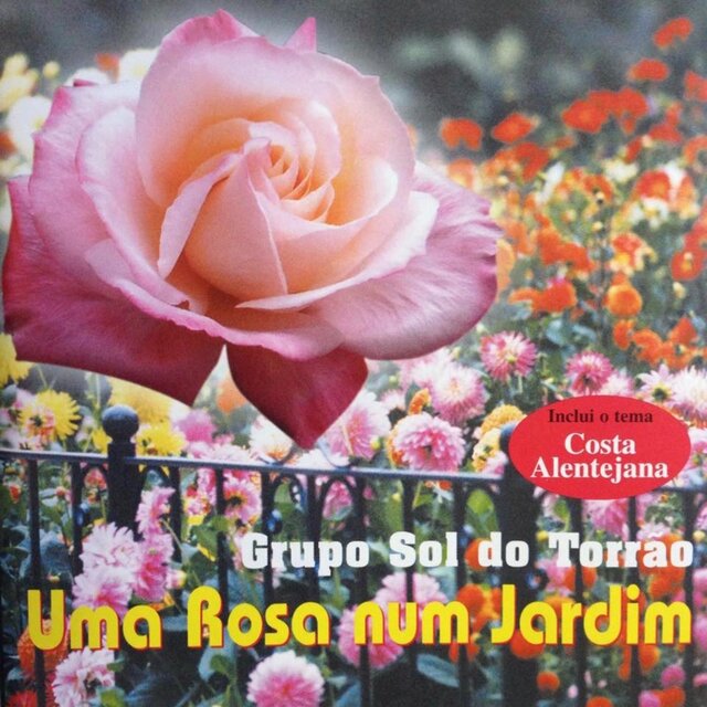 Uma Rosa Num Jardim