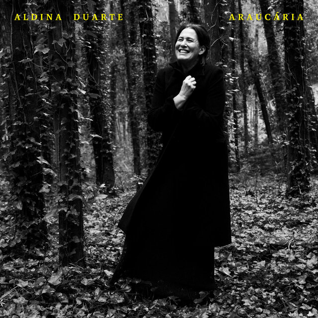 Araucária