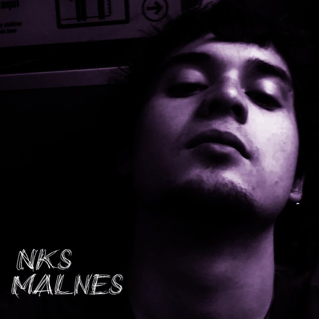 Nks malnes