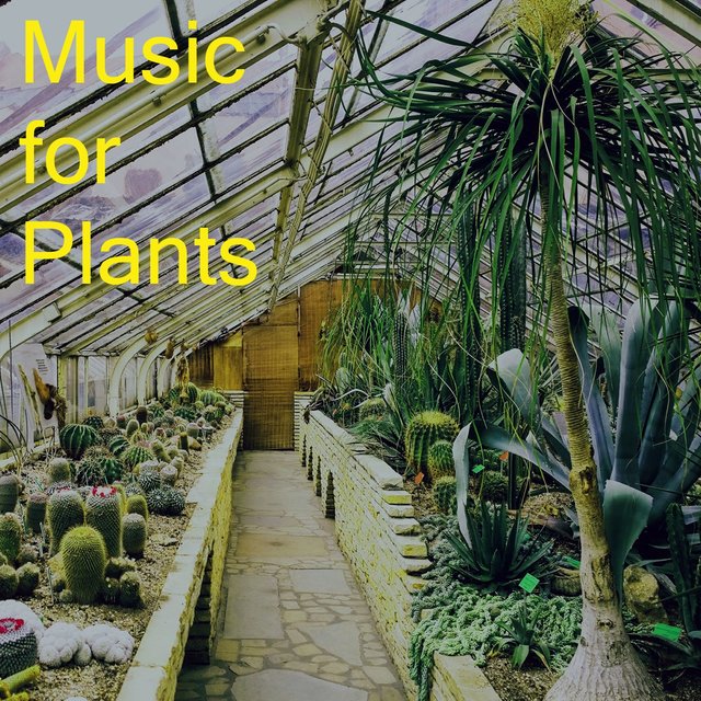 Music for Plants