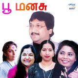 Kuliradikku