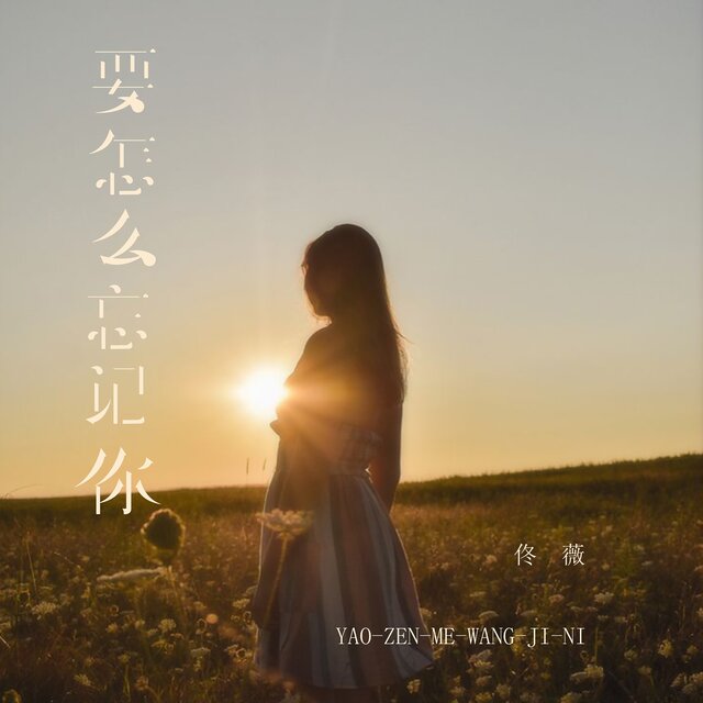 要怎么忘记你