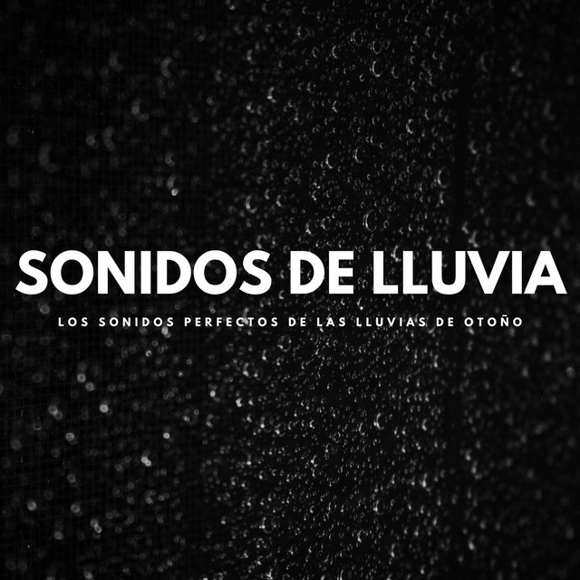 Sonidos De Lluvia: Los Sonidos Perfectos De Las Lluvias De Otoño