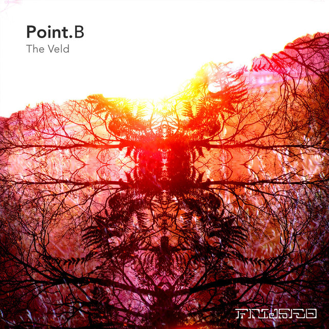The Veld