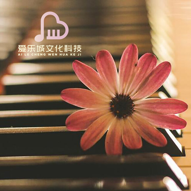 夜曲 摇篮曲 古典音乐 百年古典钢琴曲 世界古典名曲 钢琴曲精选集 肖邦 贝多芬 巴赫 柴可夫斯基