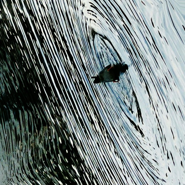 Ebb