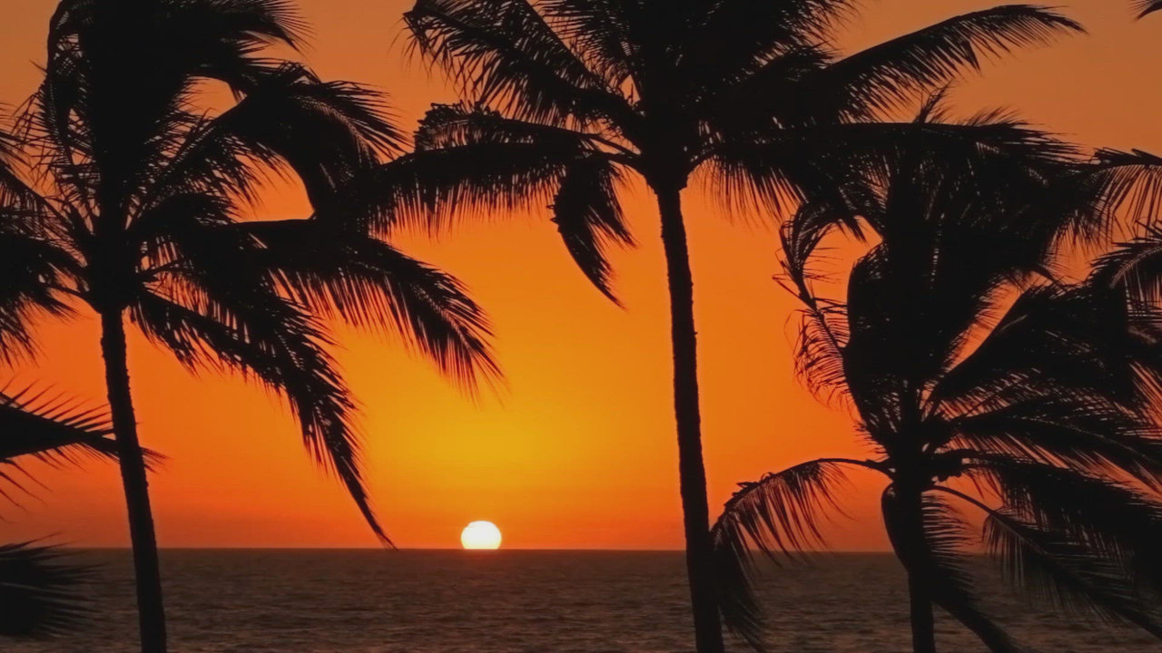Sunset Promenade