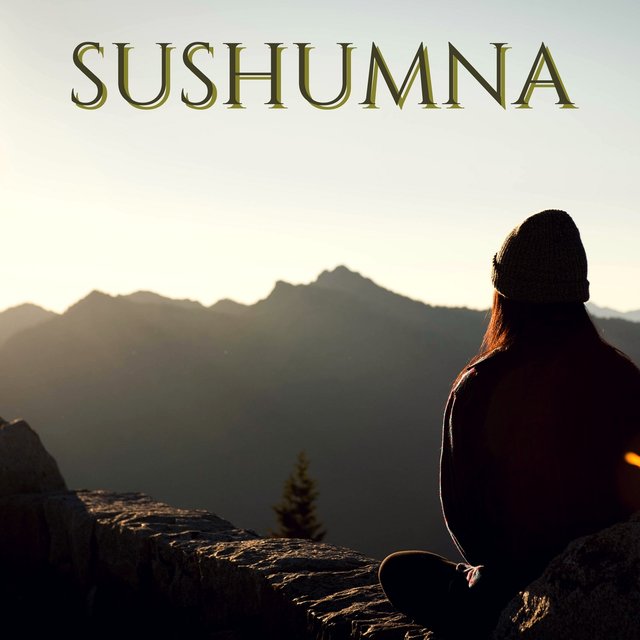 Sushumna - Awaken Energy Channels and Find Chakra Equilibrium with Asian Music