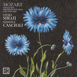 Sonata for Piano and Violin in G Major, K. 301/293a: I. Allegro con spirito