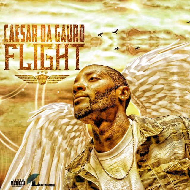 Flight