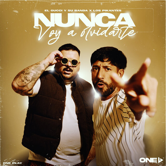Nunca Voy a Olvidarte