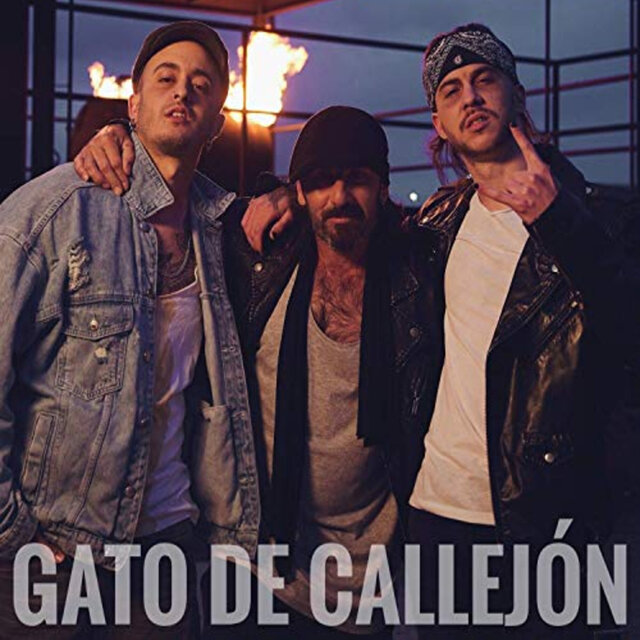 Gato de Callejón