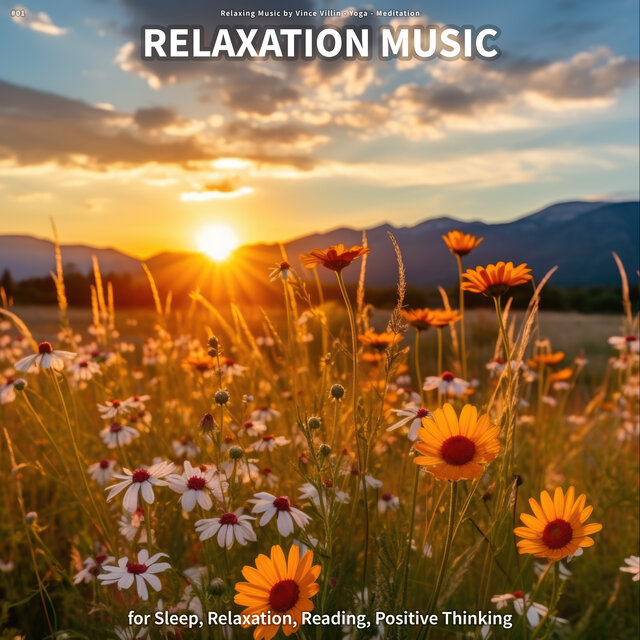 #01 Relaxation Music for Sleep, Relaxation, Reading, Positive Thinking