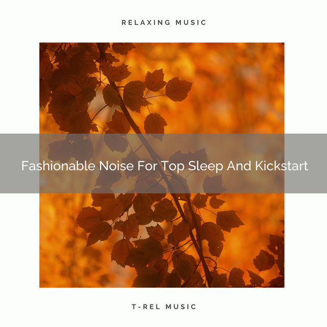 Fashionable Noise For Top Sleep And Kickstart