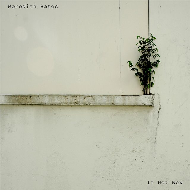 If Not Now