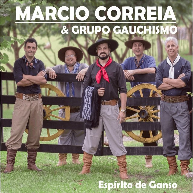 Espírito de Ganso