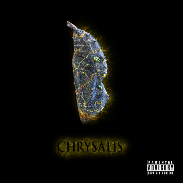 Chrysalis