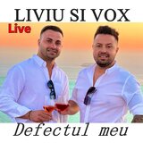 Defectul meu