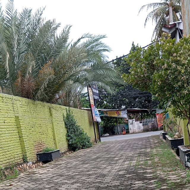 Cuma janji manis