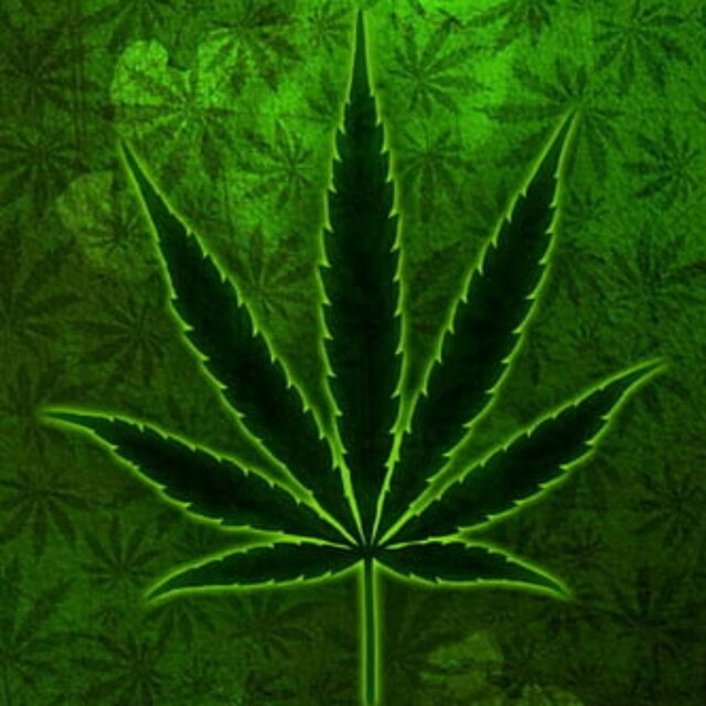 Na Onda da Maconha