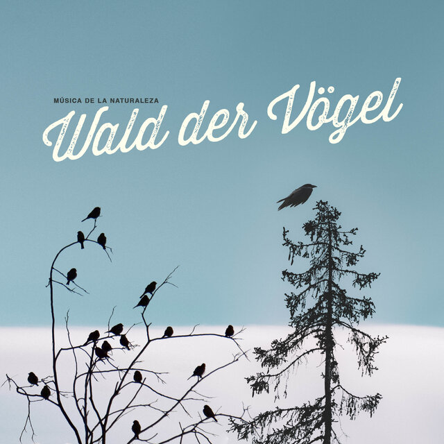 Wald der Vögel