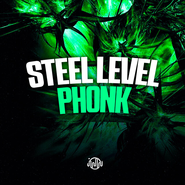 Steel Level Phonk