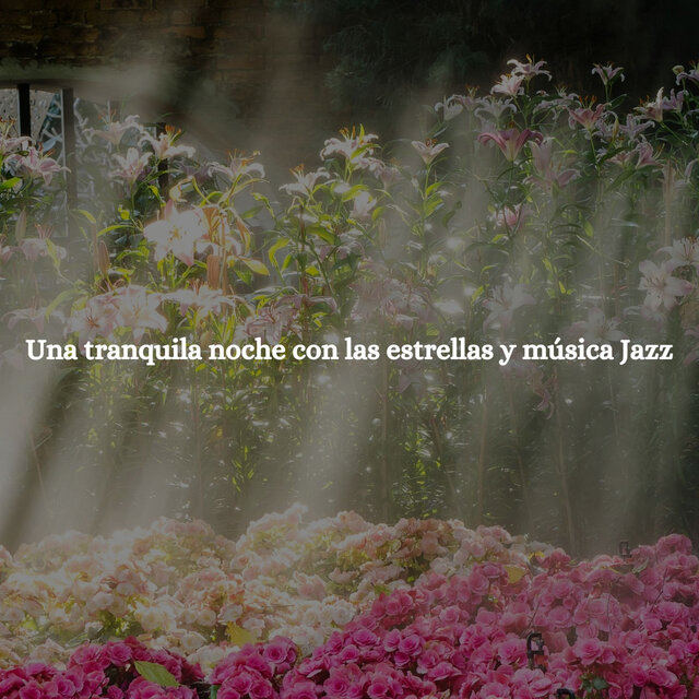 Una tranquila noche con las estrellas y música Jazz