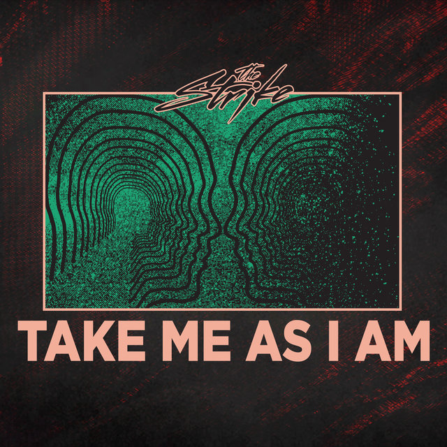 Take Me as I Am