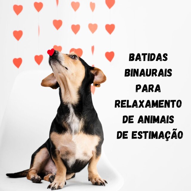 Batidas binaurais para relaxamento de animais de estimação: música calmante para dormir para cães e gatos