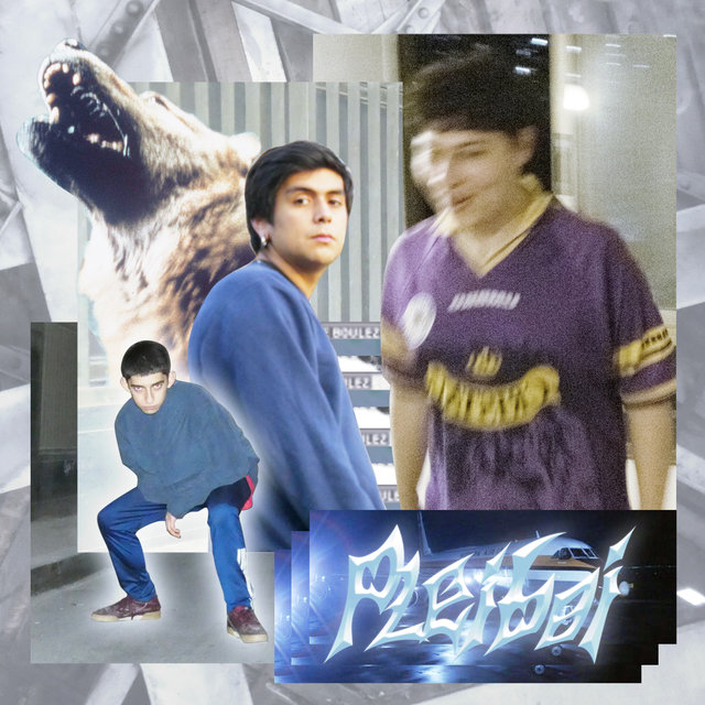 PLEIBOI