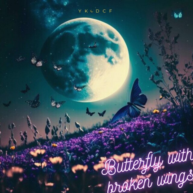 Butterfly With Broken Wings