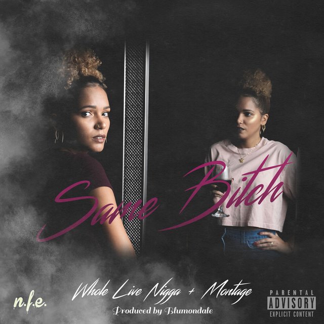 Same Bitch (feat. Whole Live Nigga)