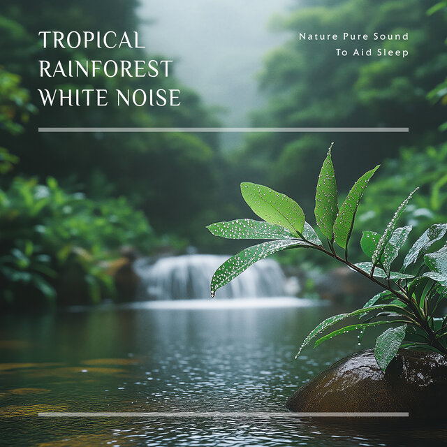 Tropical Rainforest White Noise: Nature Pure Sound To Aid Sleep