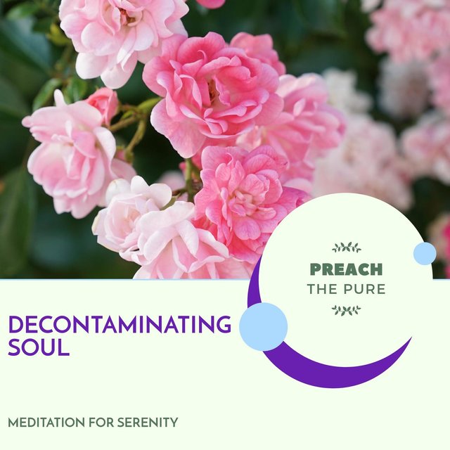 Decontaminating Soul - Meditation For Serenity