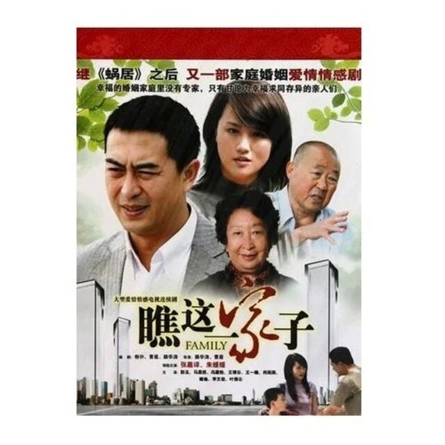 电视剧 瞧这一家子