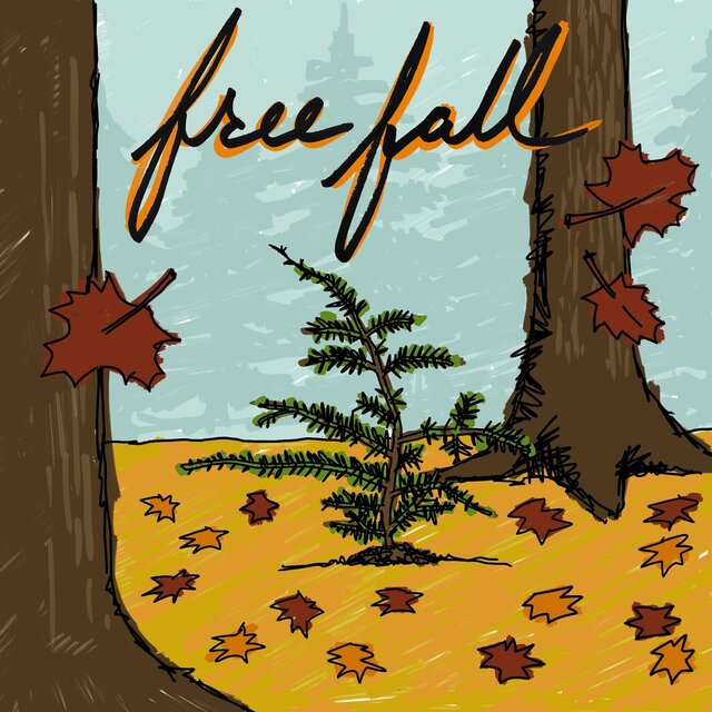Free Fall