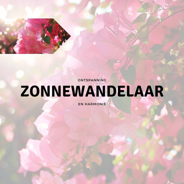 Zonnewandelaar