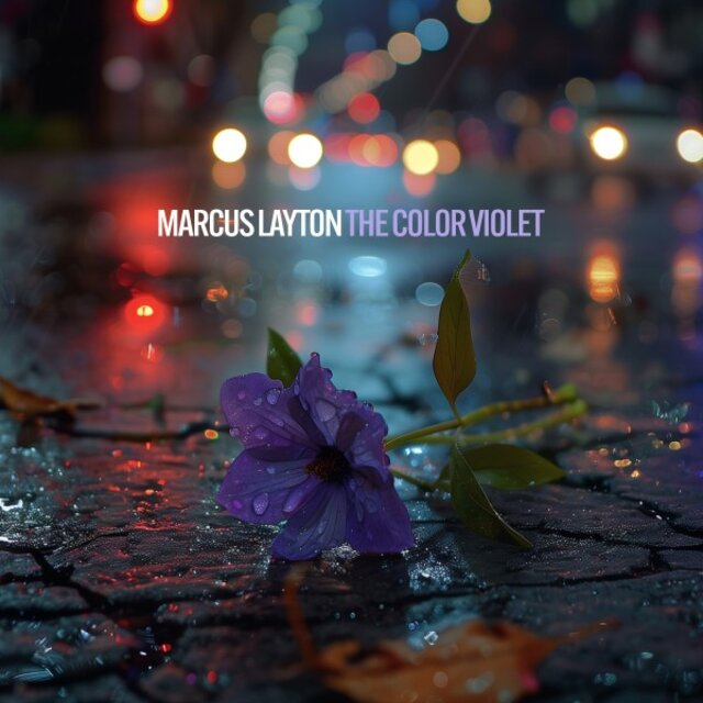 The Color Violet