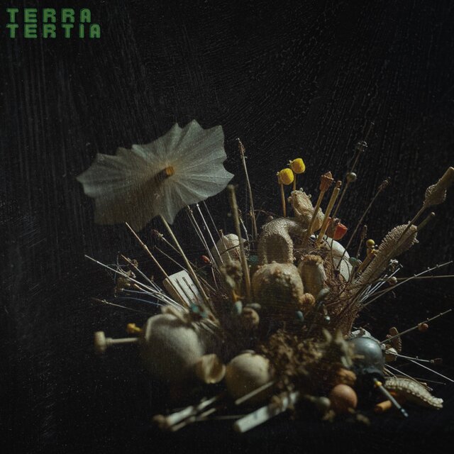 Cover art for album Terra Tertia by DRMōōN