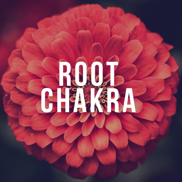 Root Chakra: Muladhara, Wellbeing, Stability and Zen Music, Music for Yoga and Meditation, Sense of Peace & Serenity