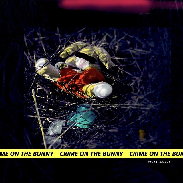 Crime on the Bunny