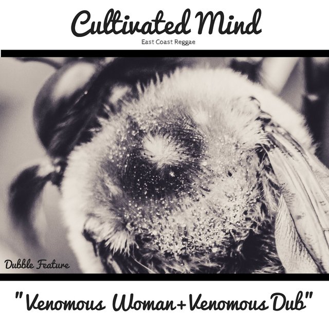 Venomous Woman Dubble Feature