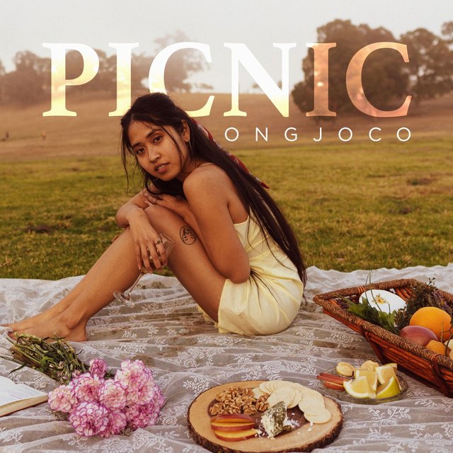 Picnic